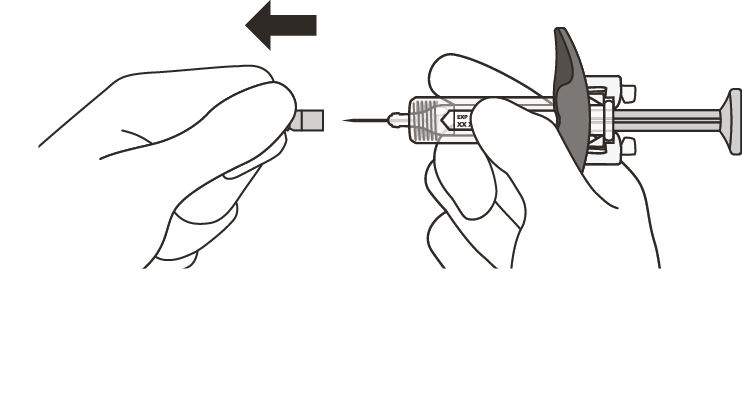 image13.png