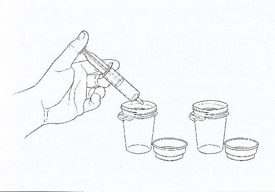 image3.jpeg
