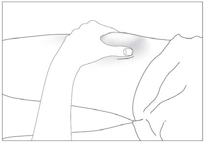 image7.png