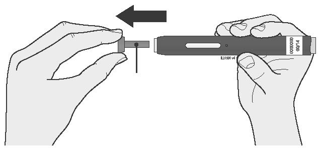 image10.jpeg