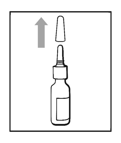image1.jpeg
