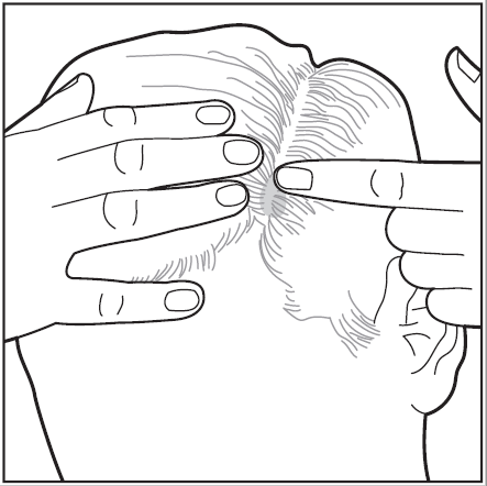 image6.png