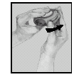 image8.png