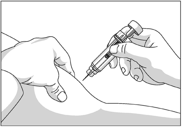 image8.png