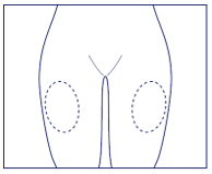 image1.png