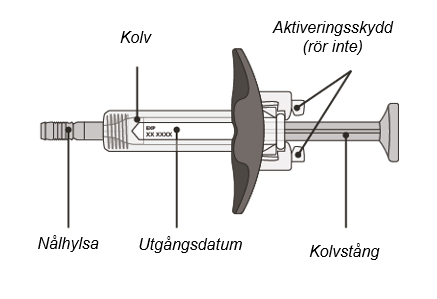 image3.png
