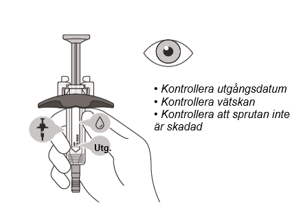 image8.png
