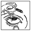 image2.png