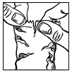image1.png