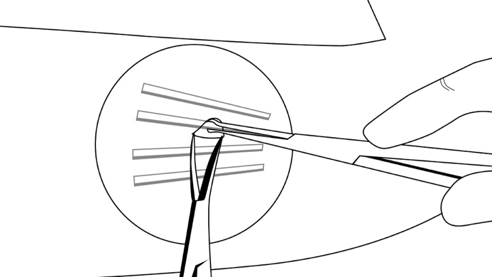 image18.jpeg