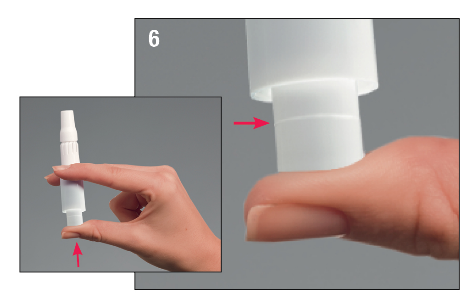 image8.png