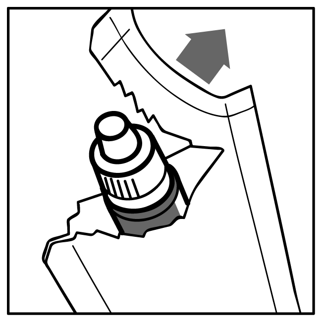 image1.jpeg