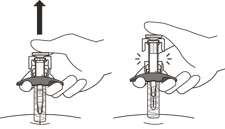 image16.png