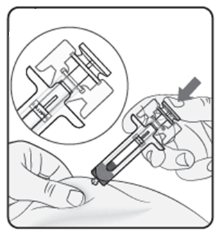 image6.png