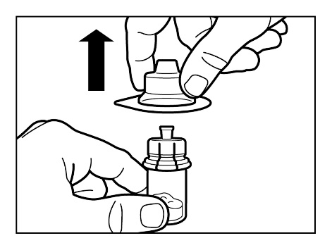 image19.jpeg