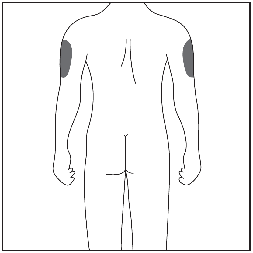 image8.png