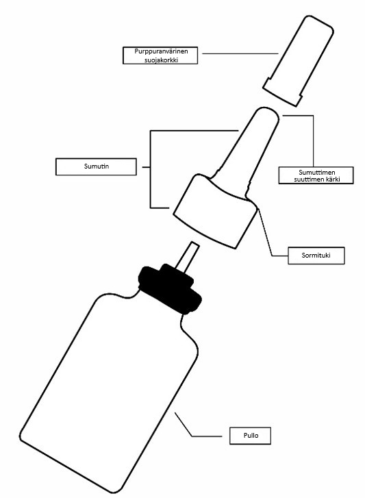 image1.png