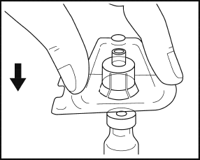 image5.png