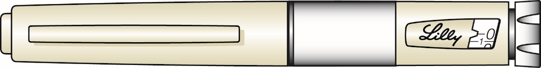 image1.jpeg