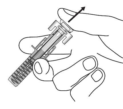 image10.png
