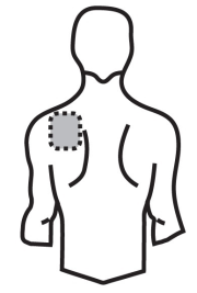 image5.png