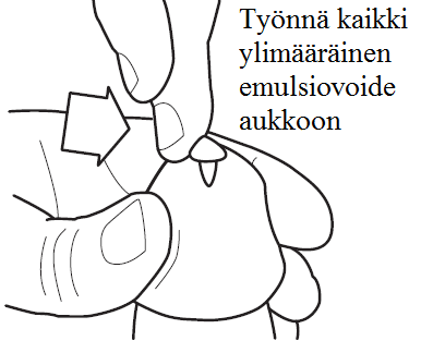 image6.png