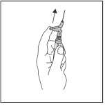 image4.gif