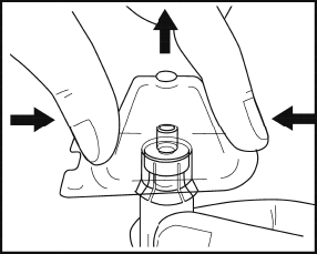image7.png