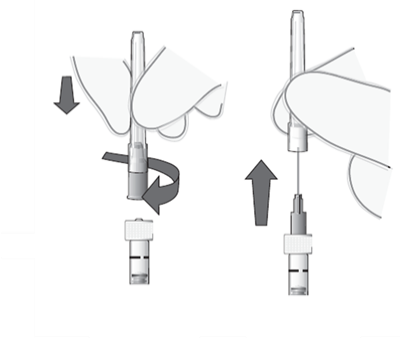 image4.png