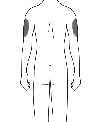 image21.png