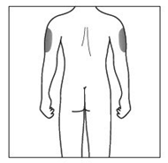image9.png