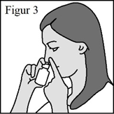 image12.png