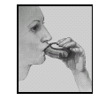 image9.png