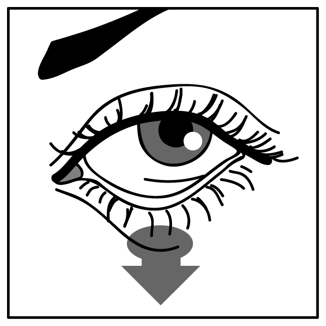 image1.jpeg