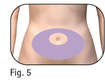 image6.png