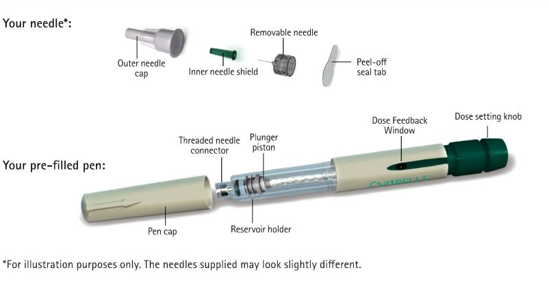 image1.png