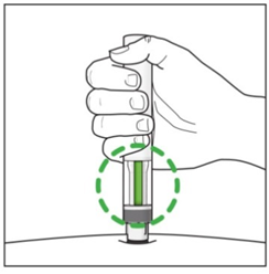 image11.png