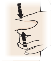 image12.png