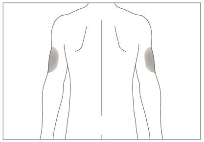 image6.png