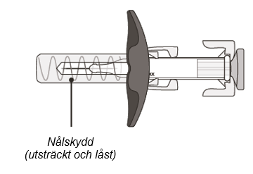 image4.png