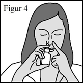 image13.png