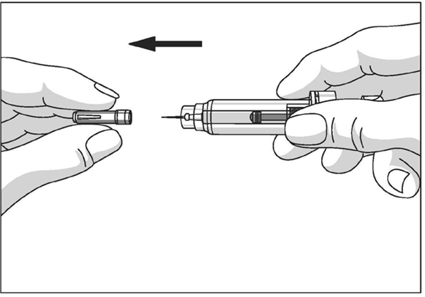 image4.png