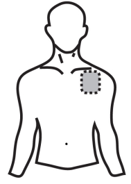 image4.png