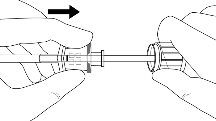 image12.jpeg