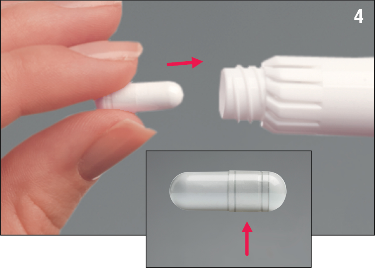 image6.png
