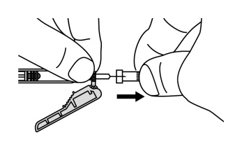 image12.png