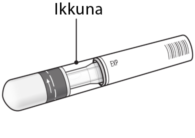 image4.png