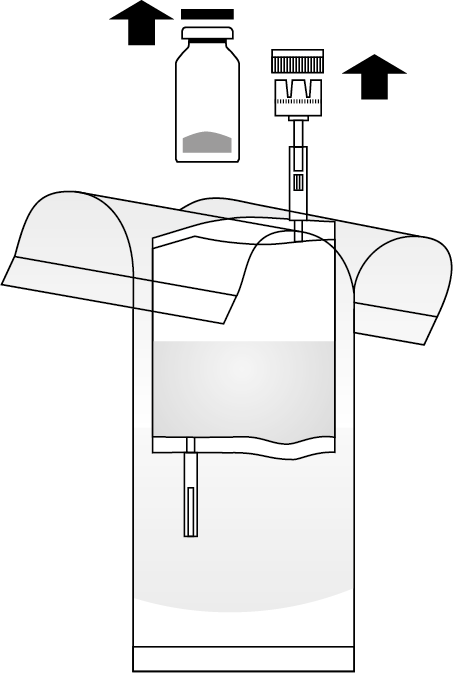 image3.png