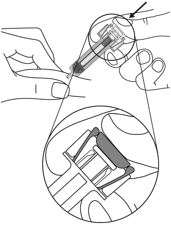 image8.png