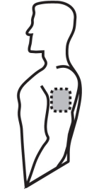 image1.png
